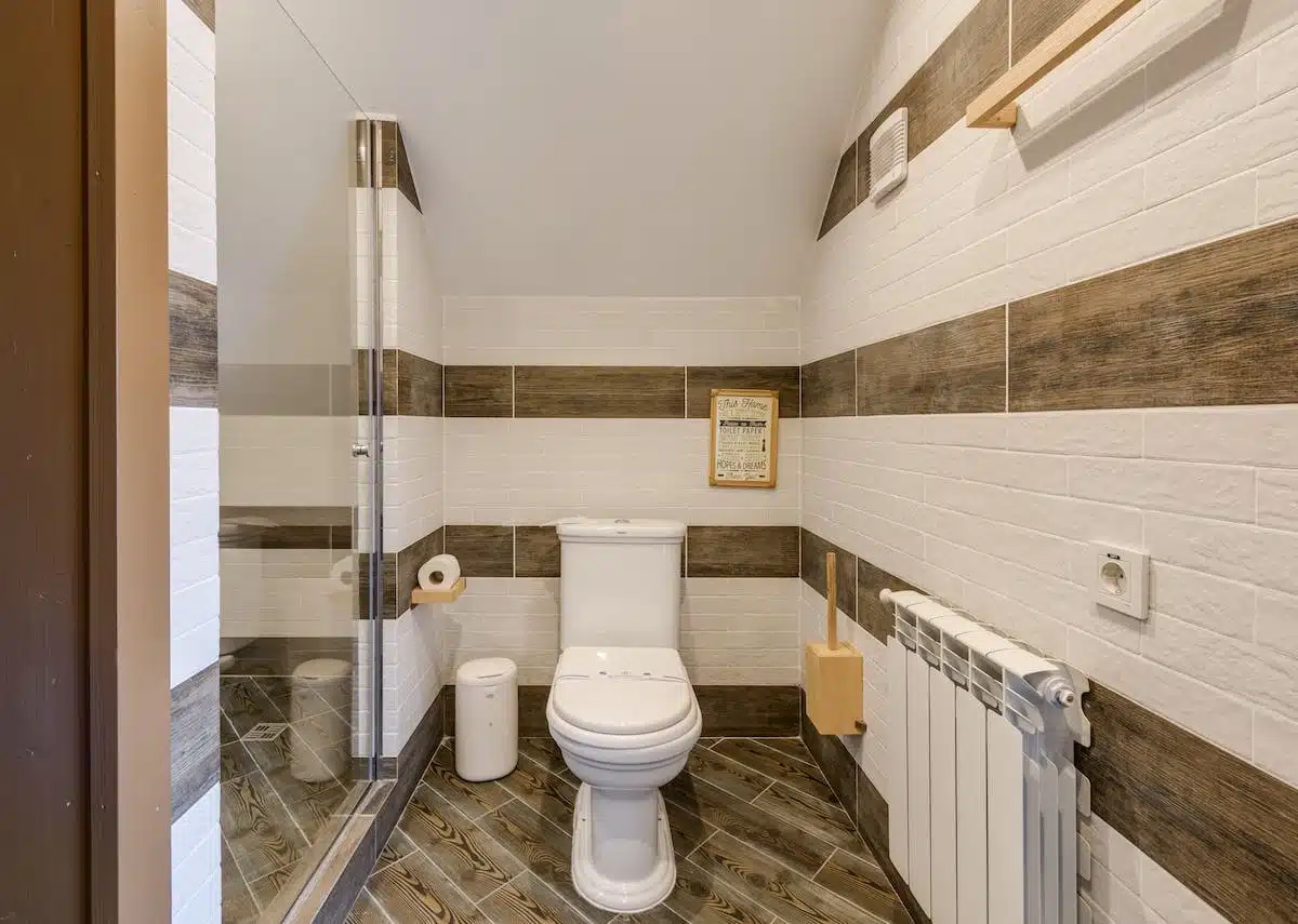 rats  toilettes
